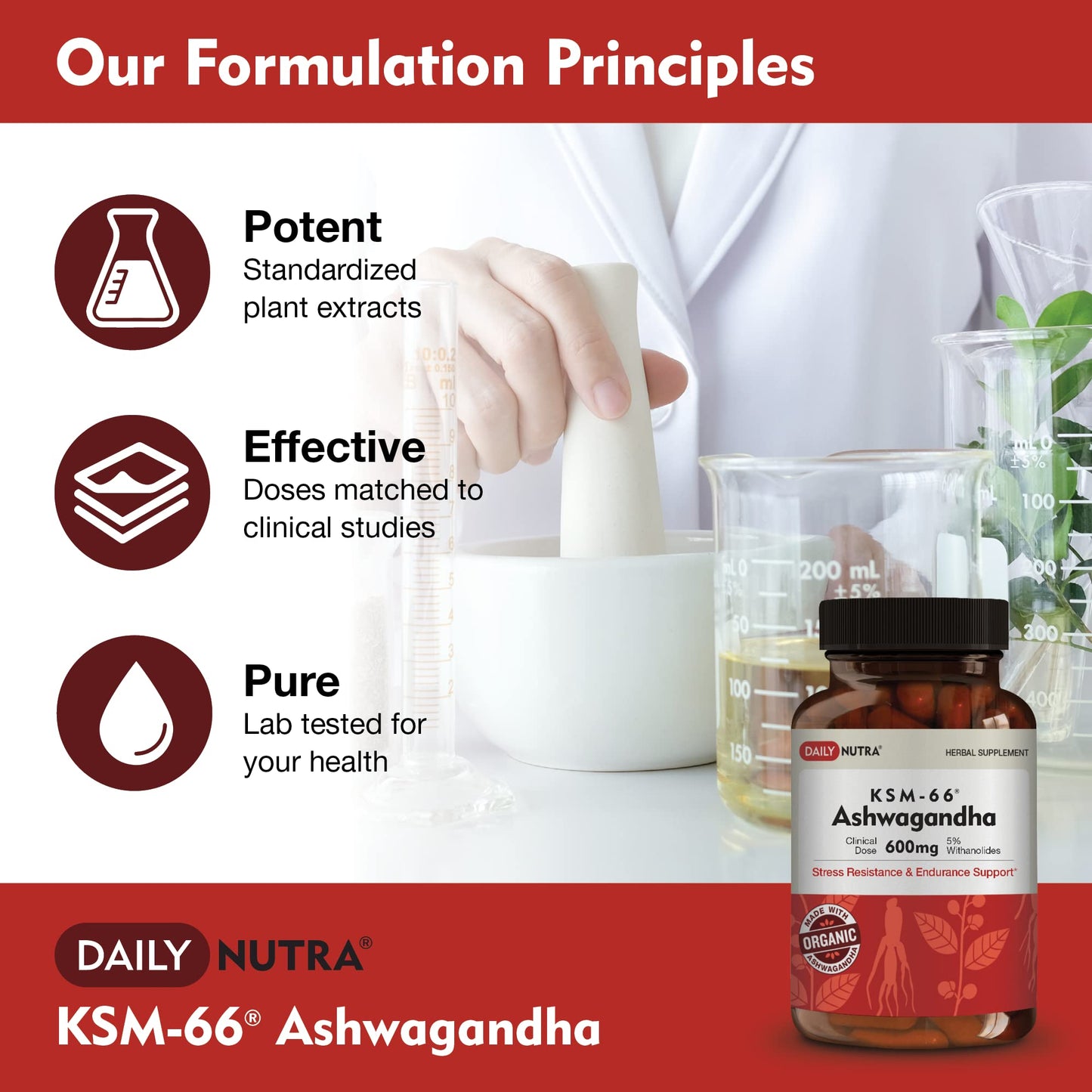 DailyNutra KSM-66 Ashwagandha 600mg Organic Root Extract - High Potency Supplement DailyNutraBuy Supplements Australia