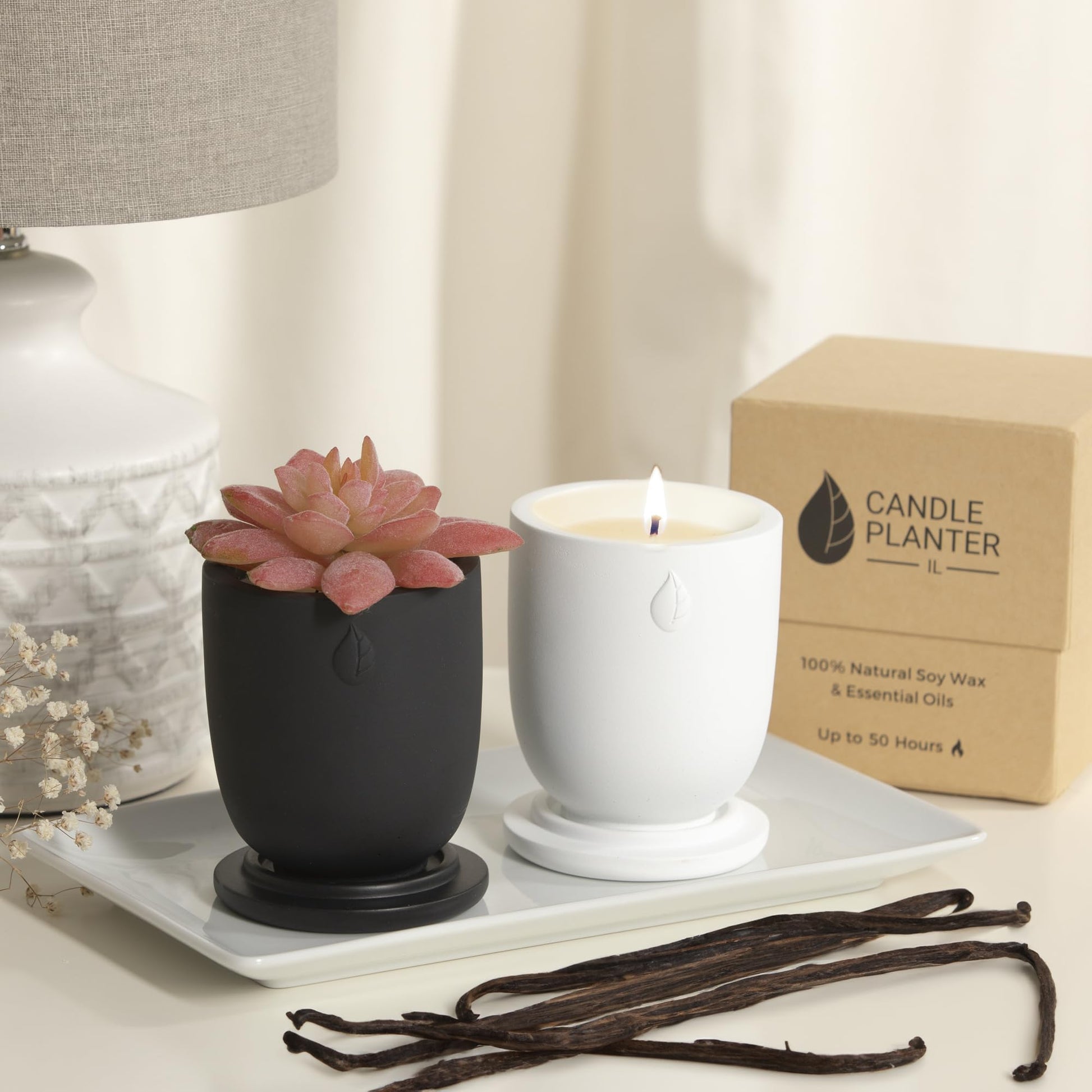 CandlePlanter Concrete Cement Candle Planter - Candles for Home Scented, Soy Candles CANDLEPLANTERBuy Supplements Australia