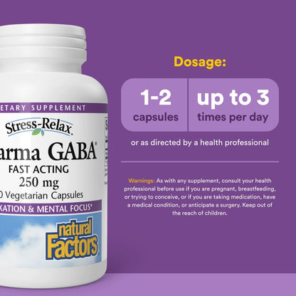 Natural Factors Pharma GABA - Dietary Supplement Supports Calm Sleep & Sleep Quality - Natural, Fast-Working Supplement Aids Focus & Brain Health - 60 Chewable Tablets (60 Servings) Natural FactorsBuy Supplements Australia