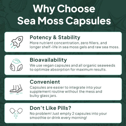 Organics Ocean Wild Sea Moss Capsules - 100% Organic Irish Sea Moss with Organic Chlorella, Bladderwrack and Vitamin D for Energy, Lung Health and Thyroid Support for Women and Men - 60 Capsules Organics OceanBuy Supplements Australia