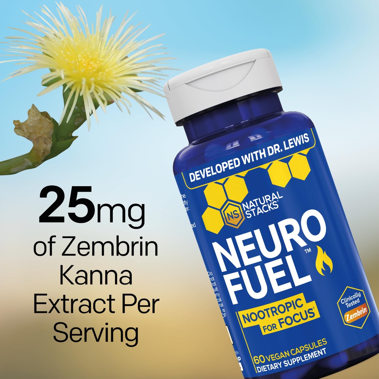 NATURAL STACKS NeuroFuel Nootropic with Zembrin - Doctor Developed Memory & Focus Supplement - Kanna Extract Sceletium Tortuosum - Nootropic Brain Supplement for Focus - 60 Zembrin Capsules NATURAL STACKSBuy Supplements Australia