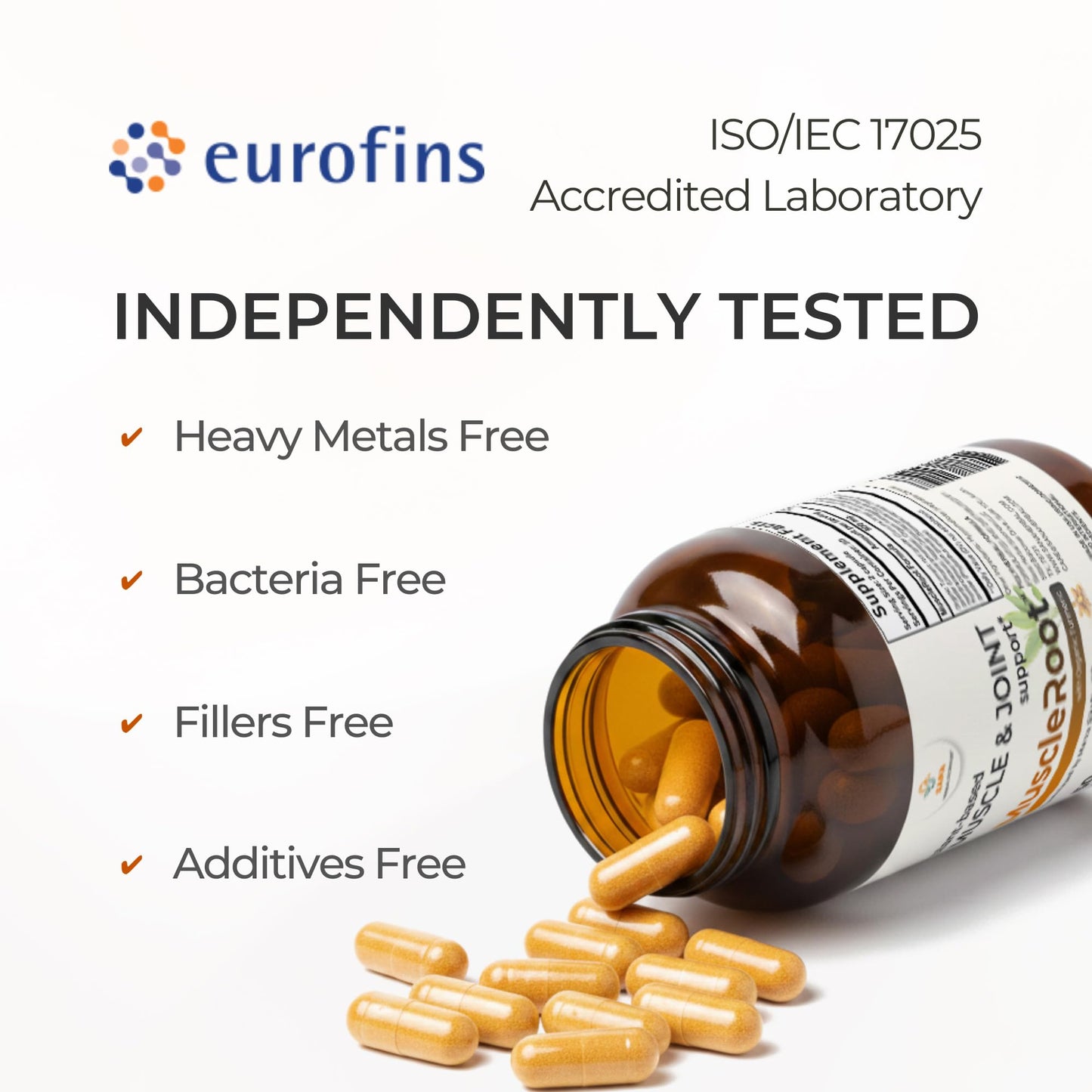 Muscle & Joint Support Supplement – Botanical Formula for Healthy Inflammatory Response | 6 Research-Backed Botanicals | Organic Turmeric | 60 Capsules | Sana Herbal Sana Herbal SciencesBuy Supplements Australia
