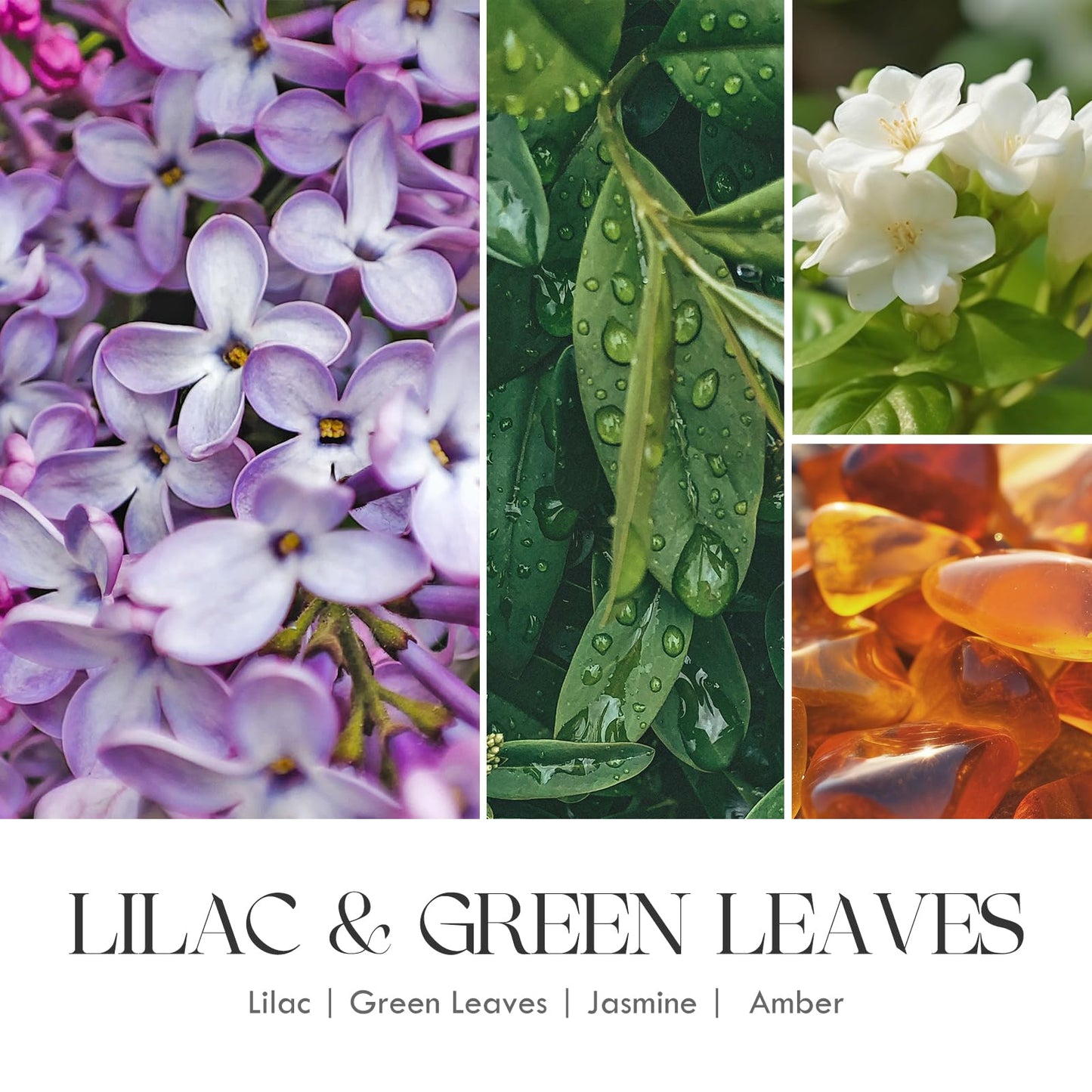 AOOVOO Lilac Candle, Candles Gifts for Women, Green Leaves Lilac Candle, Scented Candle AOOVOOBuy Supplements Australia