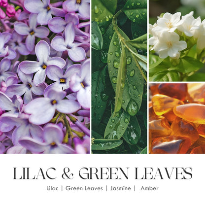 AOOVOO Lilac Candle, Candles Gifts for Women, Green Leaves Lilac Candle, Scented Candle AOOVOOBuy Supplements Australia