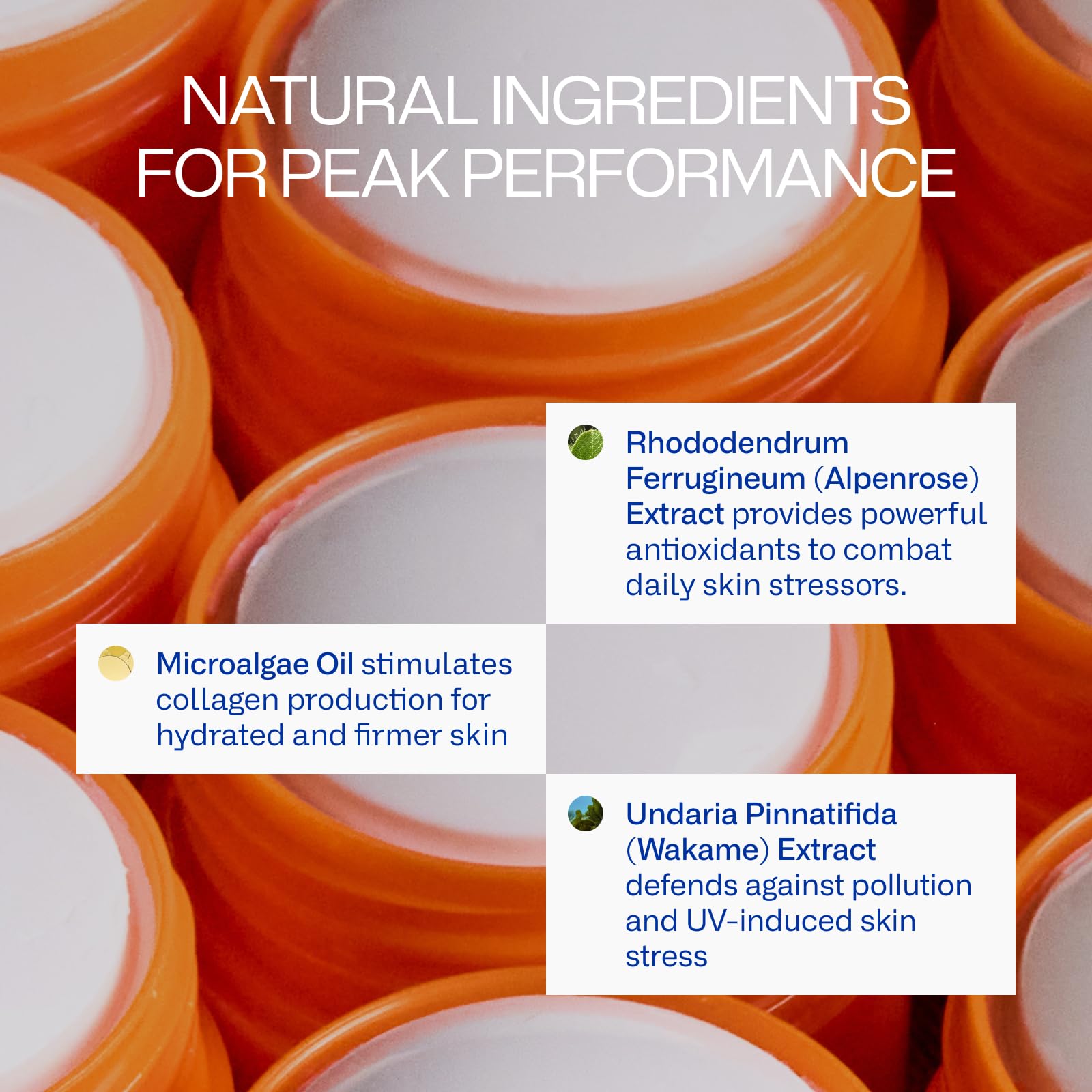 Peak Performance Sun Stick SPF 50 | 100% Mineral Sunscreen | Lightweight, 40-Min Water-Resistant | Plant-Based, Eco-Friendly, Reef-Safe, Cruelty-Free | All Skin Types | 0.70 oz | Pack of 2 Freaks of NatureBuy Supplements Australia