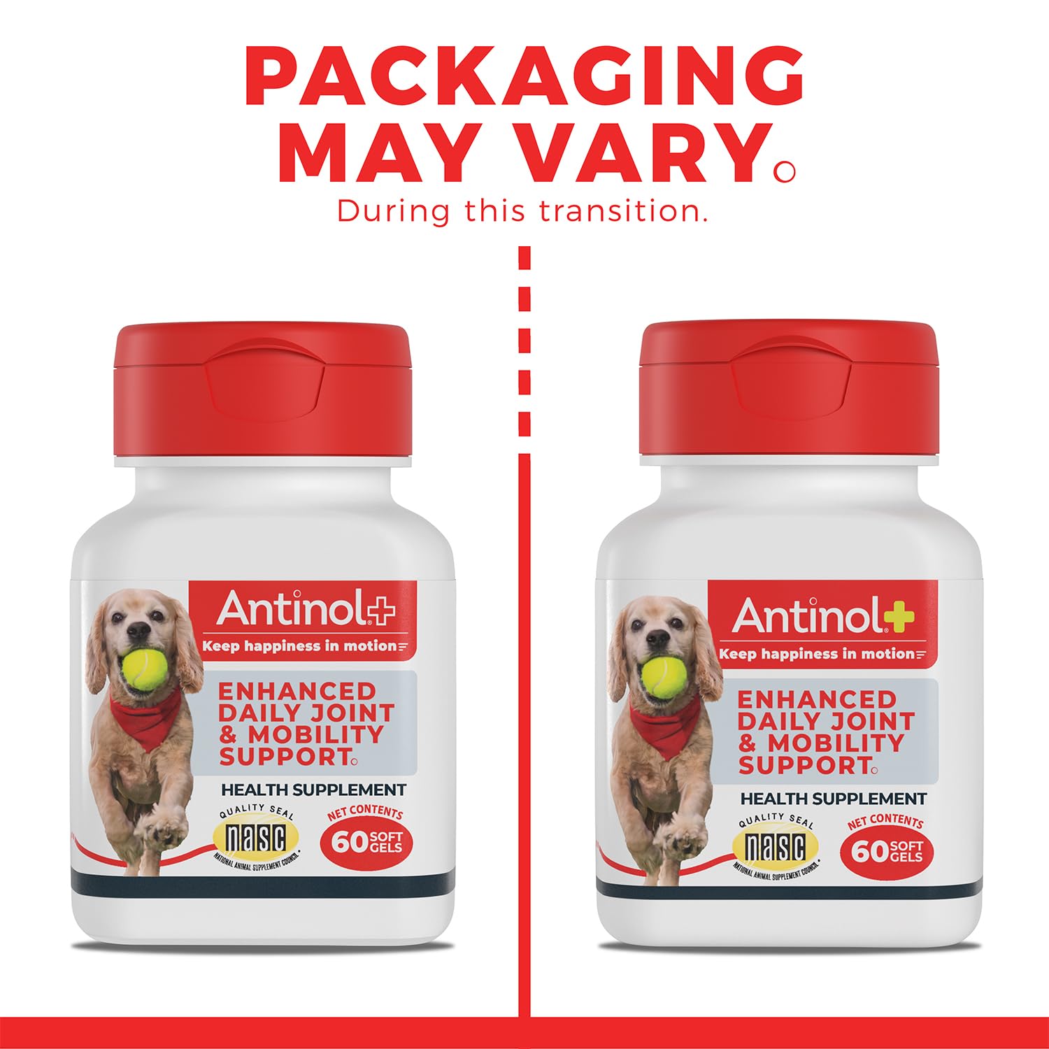Antinol Plus, Mobility, Hip, and Joint Supplement for Dogs, Green-Lipped Mussels and Krill Oil - Dog Joint Supplement, Better and Faster Than Glucosamine and Chondroitin, 120 Soft Gels AntinolBuy Supplements Australia