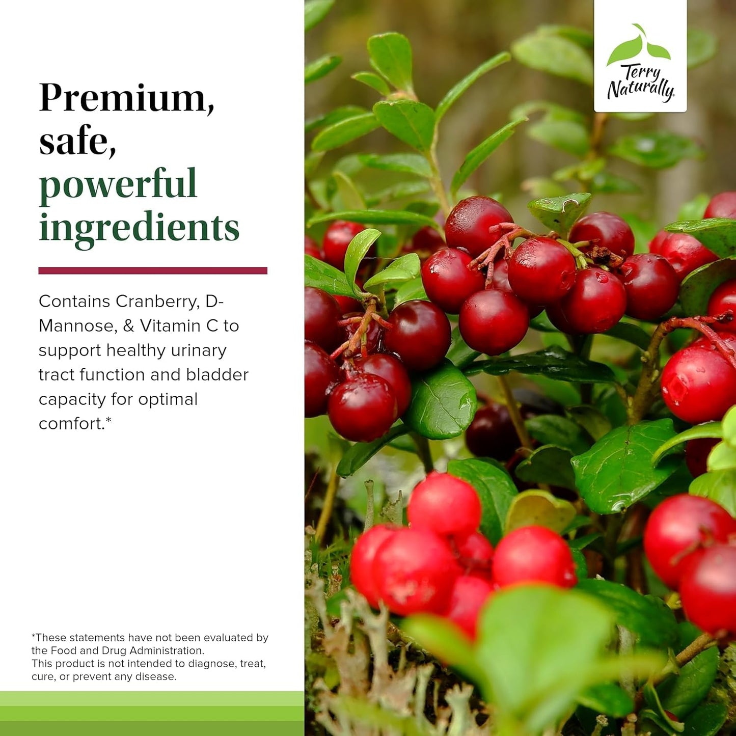Terry Naturally Urinary Tract Intensive Support - Supplement with Cranberry for Bladder Health Support - Kidney Health Supplement with D-Mannose & Vitamin C - 60 Capsules (30 Servings) Terry NaturallyBuy Supplements Australia
