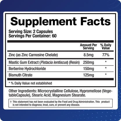BioMatrix Pylor-X Gut Health Supplement – Mastic Gum, Berberine, Zinc Carnosine & Bismuth Salts for Gastric Support, Digestive Comfort, Stomach Lining Protection - (120 Capsules) 30-60 Day Supply BioMatrixBuy Supplements Australia