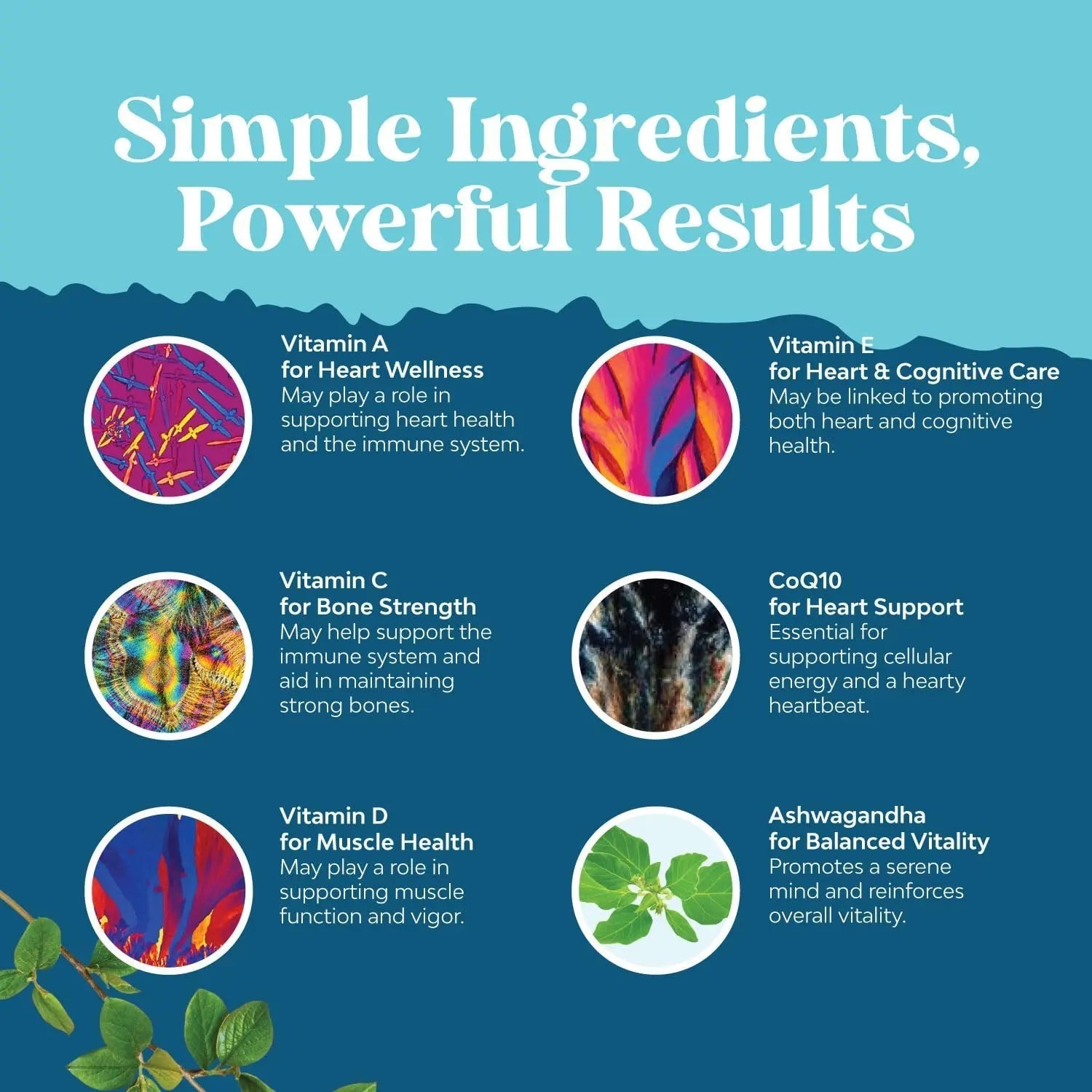 Natures Craft Men's Multivitamin Gummies with Superfood Complex - Daily Multivitamin for Men Gummies with CoQ10 and Ashwagandha Natures Craft