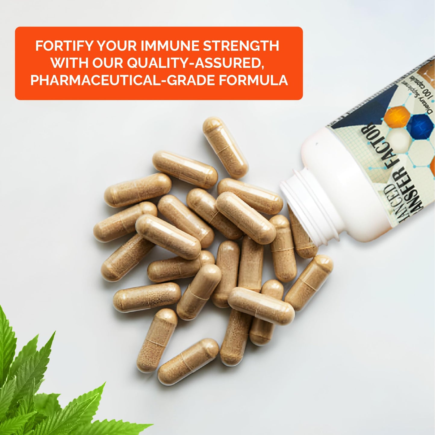 Transfer Factor Enhanced, 100 Natural Capsules, Immune Support - Transfer Factor Multi Immune from Cow Colostrum, Egg Yolk & Special Blend of Mushrooms DislafarmBuy Supplements Australia