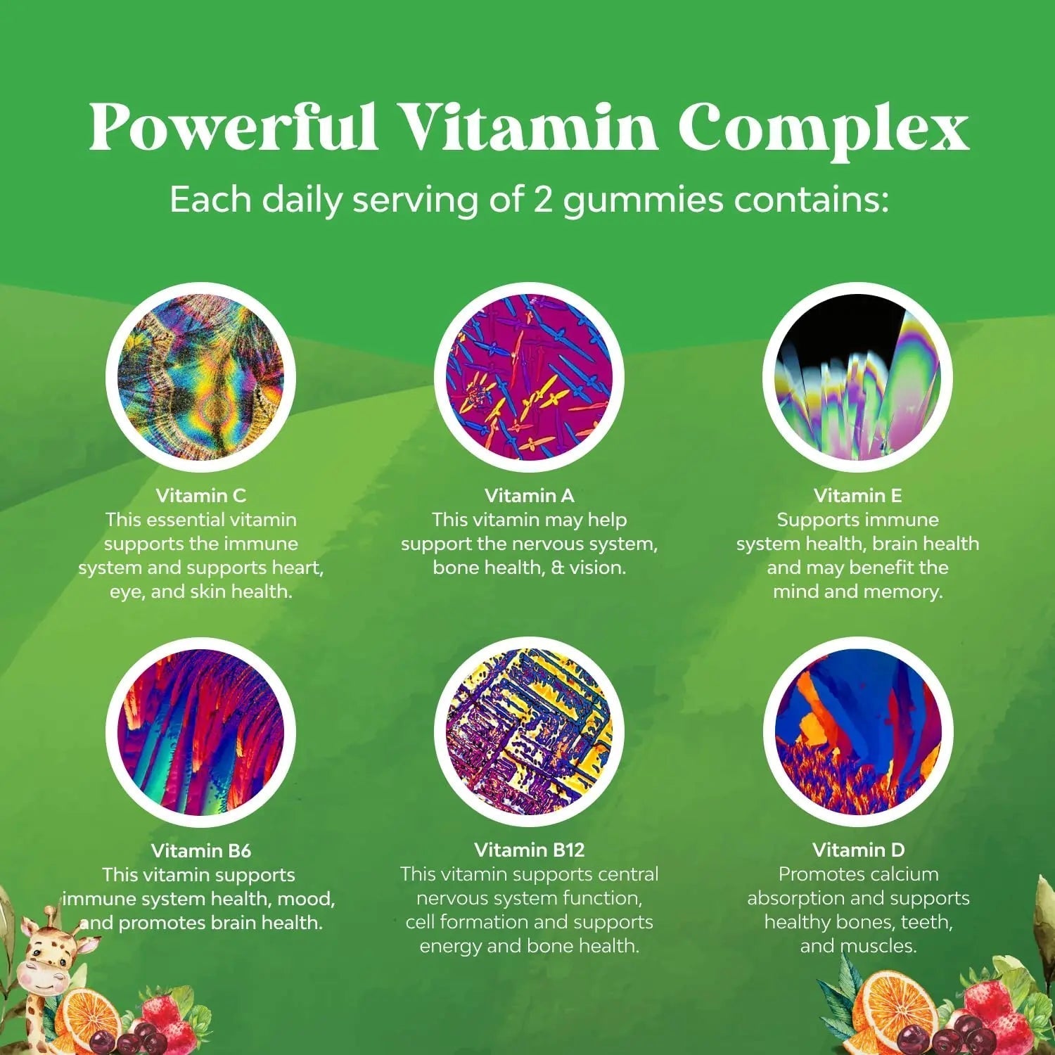 Bundle of Plant Based Kids Multivitamin Gummies with Vitamins A C D3 E B Zinc and DHA Omega 3 Gummies with Vegetarian 6 9 for Vision Brain Immunity Support Natures CraftBuy Supplements Australia