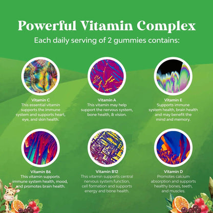 Bundle of Plant Based Kids Multivitamin Gummies with Vitamins A C D3 E B Zinc and DHA Omega 3 Gummies with Vegetarian 6 9 for Vision Brain Immunity Support Natures CraftBuy Supplements Australia