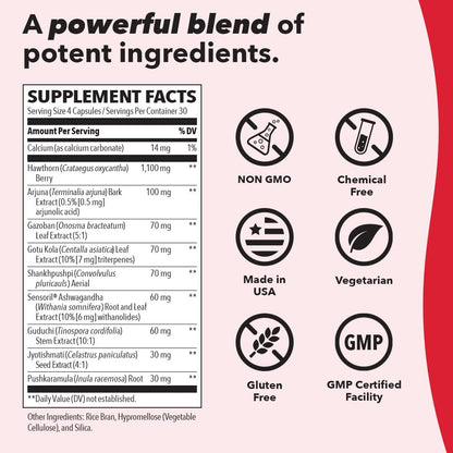 LifeSeasons B/P Stabili-T - Blood Pressure Support - Vitamin Supplement for Healthy Heart & Circulation - Ashwagandha, Arjuna & Hawthorn Berry - 240 Capsules LifeSeasonsBuy Supplements Australia