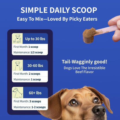Fifth & Fido Joint Supplement for Dogs - Glucosamine for Dogs - Pet Vitamins and Supplements Powder with Chondroitin & MSM - Hip & Joint Support for Mobility, Stiffness & Flexibility - Mushroom Blend Fifth & FidoBuy Supplements Australia