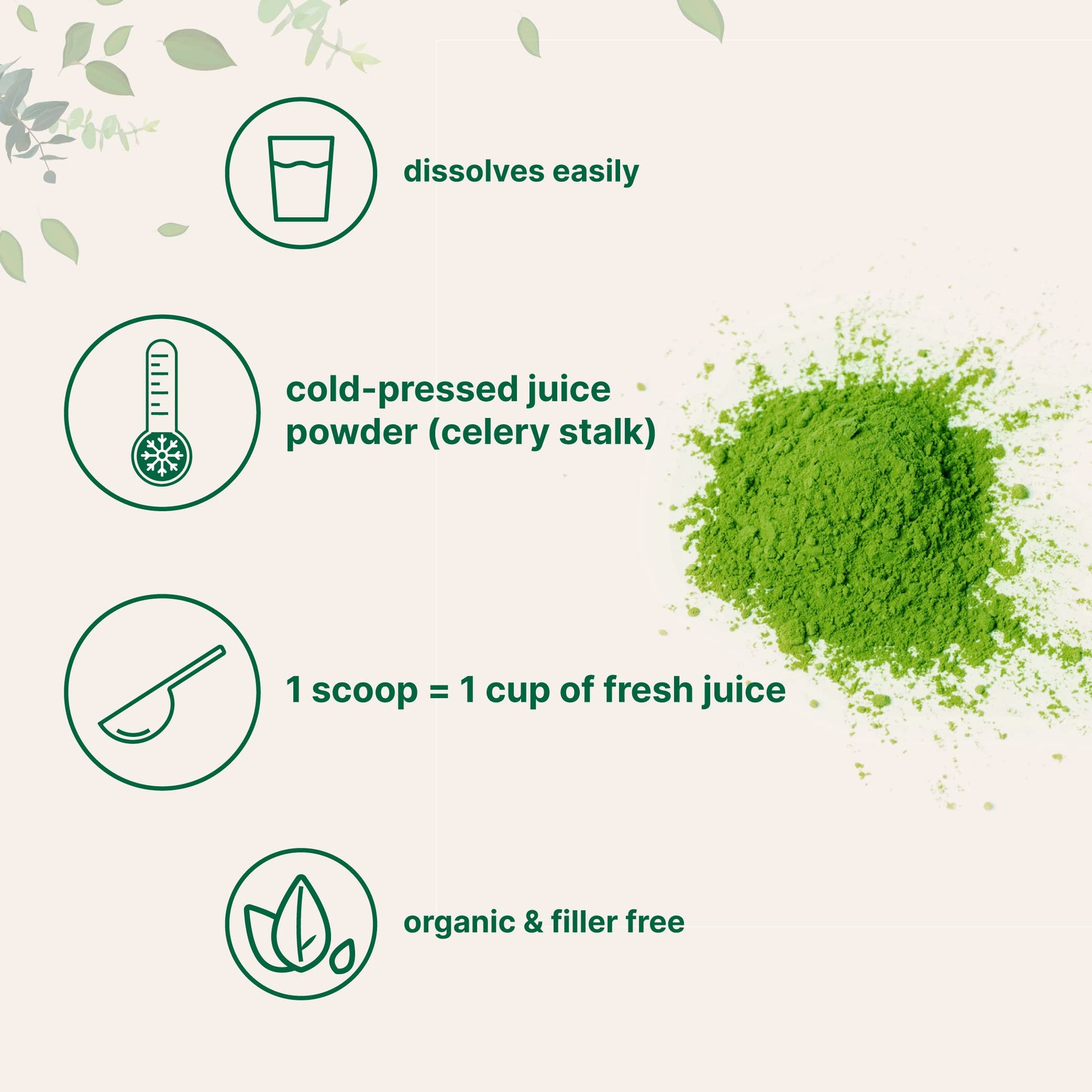 Organic Celery Juice Powder, 20 Ounce (1.25 Pound), 71 Serving, Celery Detox and Cold Micro IngredientsBuy Supplements Australia