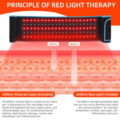 Red Light Therapy Belt, 660&850nm 3 -in-1 Big Chips Near Infrared Therapy Wrap for Body HEDYNSHINEBuy Supplements Australia