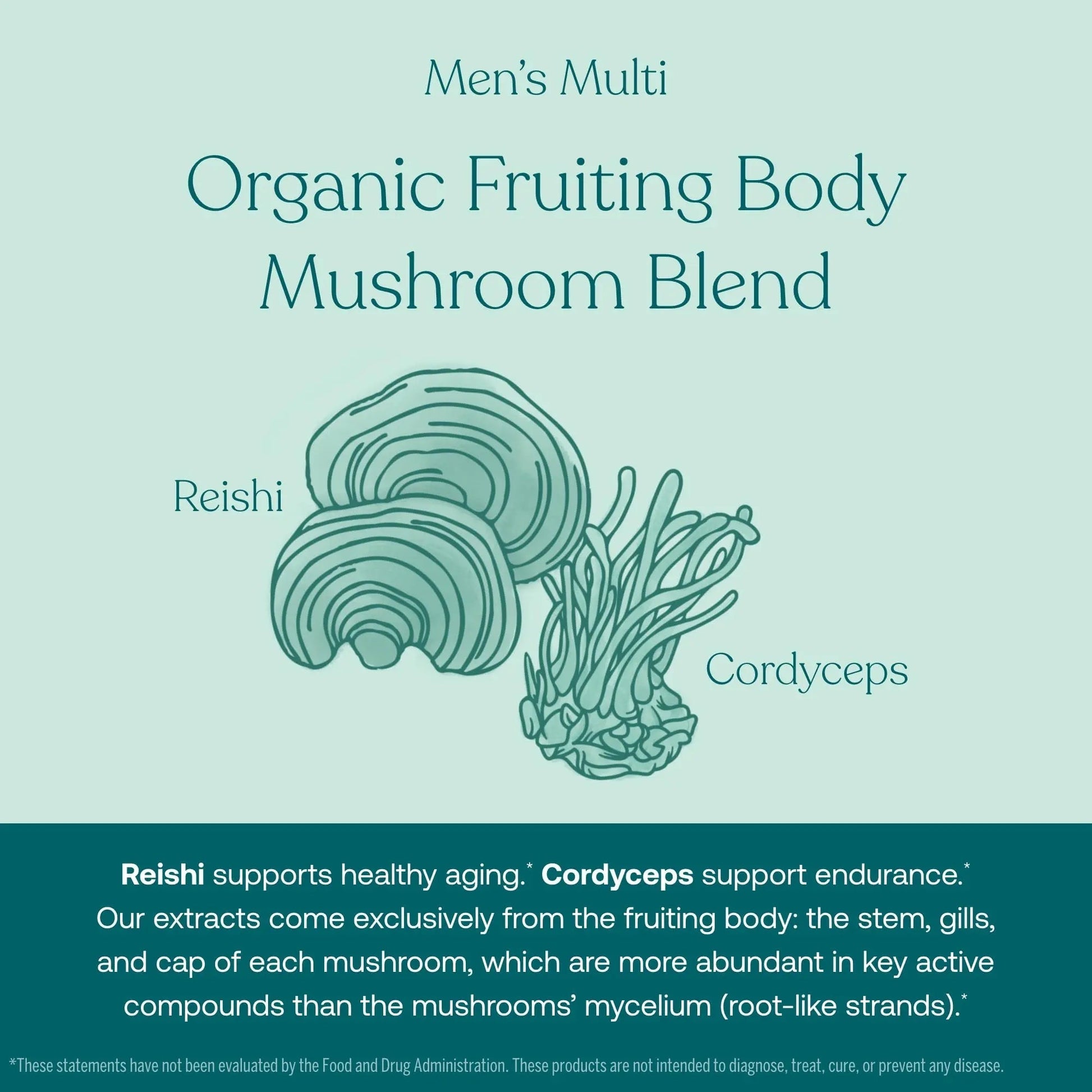 True Grace One Daily Men’s Multivitamin (30 Vegan Tablets) + One Daily Women’s Multivitamin (30 Vegan Tablets) - Non-GMO & Gluten Free - 30-Day Supply of Each True GraceBuy Supplements Australia