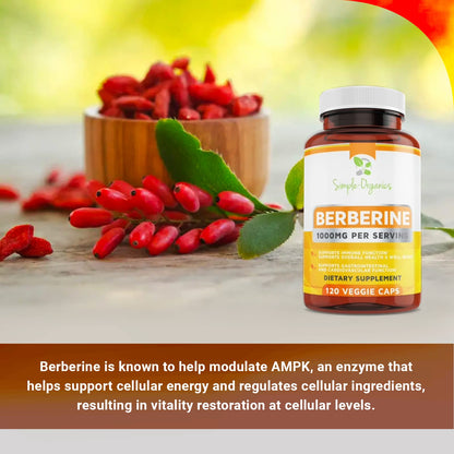 Simple-Organics Berberine 500mg (1000mg Per Serving) for Supports Healthy Immune Simple-OrganicsBuy Supplements Australia