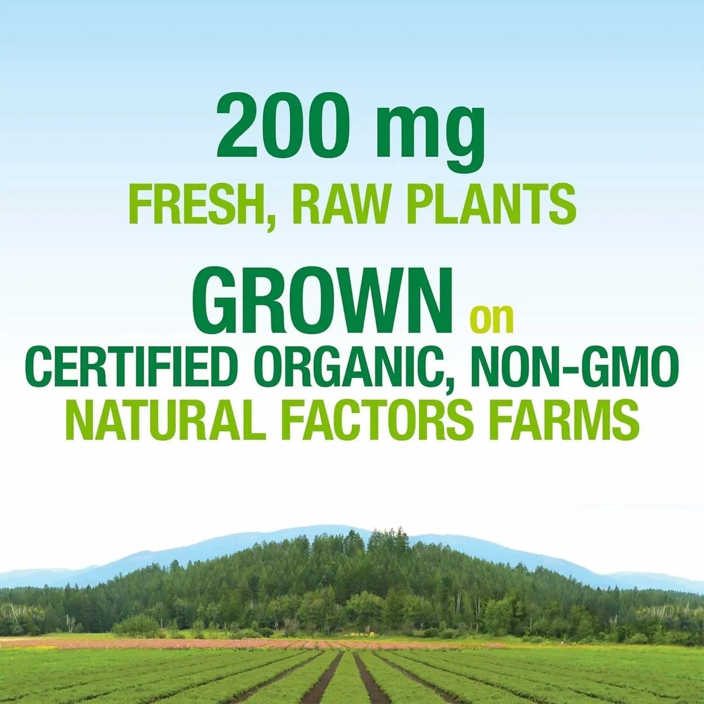 Natural Factors Whole Earth & Sea, Women's Prenatal Multivitamin and Mineral, Whole Food Supplement, Vegan, 120 Tablets Natural FactorsBuy Supplements Australia