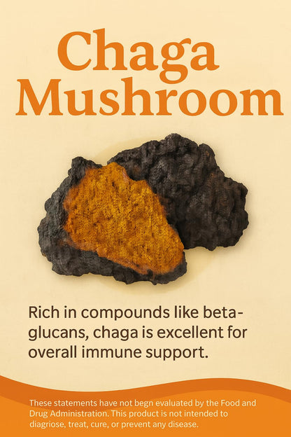 Mushroom Complex Capsules with Lion’s Mane, Reishi, Cordyceps, Chaga & Turkey Tail – True Totality Mushroom Power – Immune, Energy & Focus Support – 90 Vegan Capsules True TotalityBuy Supplements Australia