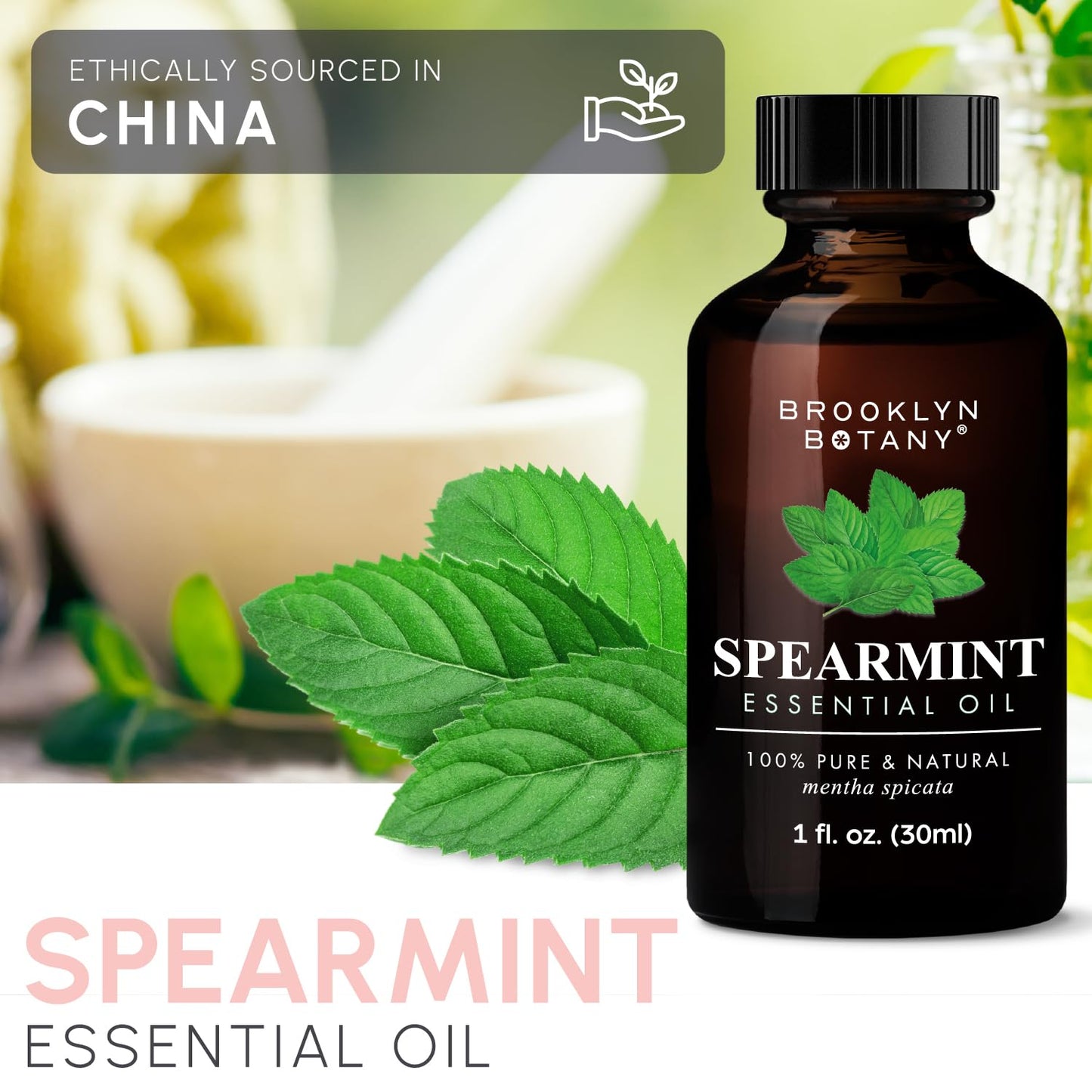 Brooklyn Botany Spearmint Essential Oil – 100% Pure and Natural – Premium Grade Oil Brooklyn BotanyBuy Supplements Australia