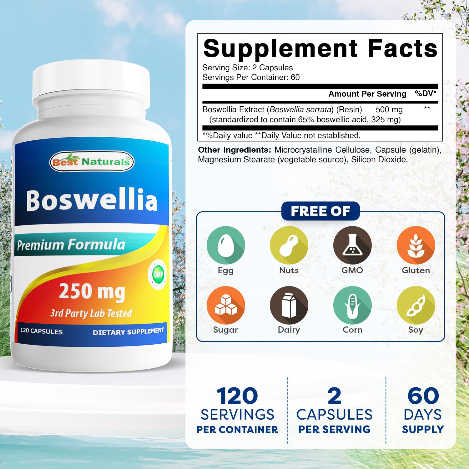 Best Naturals Boswellia Serrata Joint Health 250 mg 120 Capsules - Standardized to 65% Boswellic Acid (120 Count (Pack of 3)) Best NaturalsBuy Supplements Australia