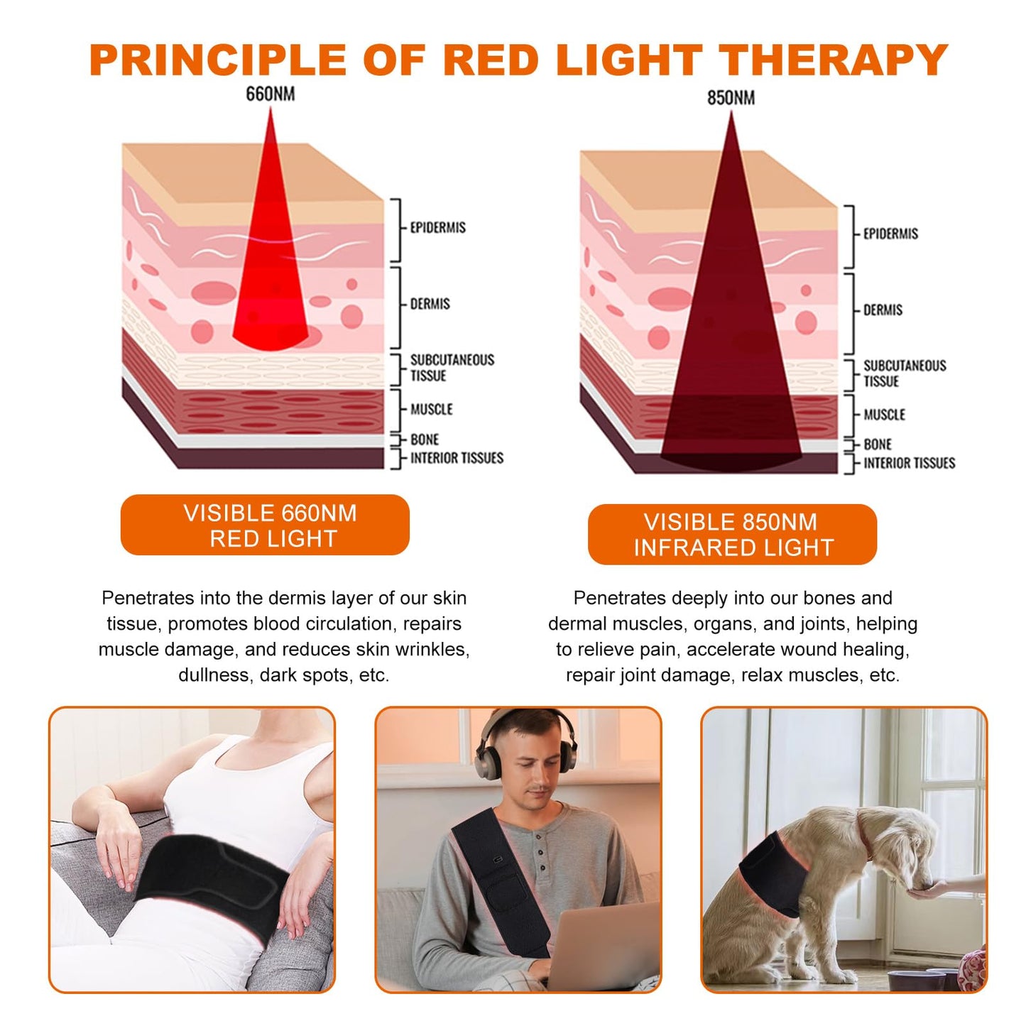EquiZen Red Light Therapy Belt - Red Light Therapy for Body, Infrared Light Therapy Device EquiZenBuy Supplements Australia