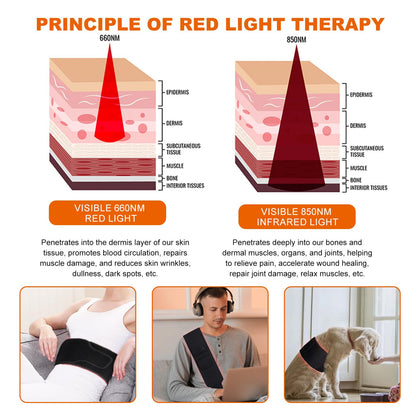 EquiZen Red Light Therapy Belt - Red Light Therapy for Body, Infrared Light Therapy Device EquiZenBuy Supplements Australia