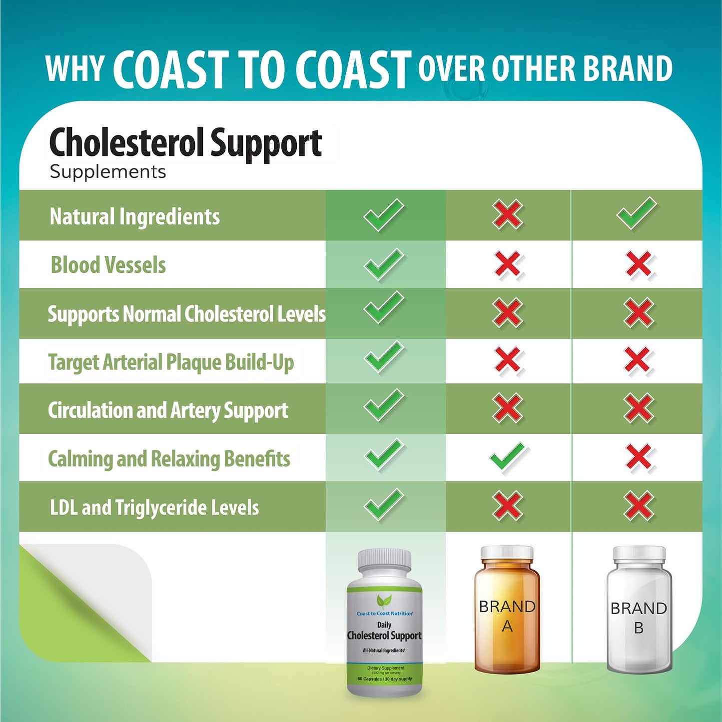 Coast to Coast Nutrition Cholesterol Support Supplement - Support Cardiovascular & Artery Performance, Target Bad LDL Levels & Plaque Calcium Buld-Up - Promote Circulation & Blood Flow - 60 Capsules Coast to Coast NutritionBuy Supplements Australia