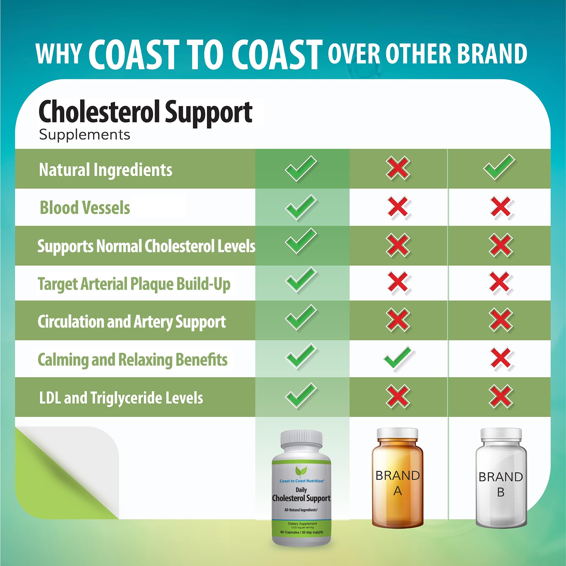 Coast to Coast Nutrition Cholesterol Support Supplement - Support Cardiovascular & Artery Performance, Target Bad LDL Levels & Plaque Calcium Buld-Up - Promote Circulation & Blood Flow - 60 Capsules Coast to Coast NutritionBuy Supplements Australia