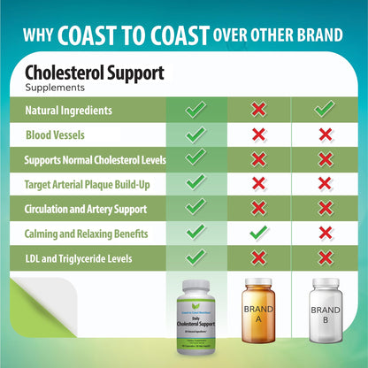 Coast to Coast Nutrition Cholesterol Support Supplement - Support Cardiovascular & Artery Performance, Target Bad LDL Levels & Plaque Calcium Buld-Up - Promote Circulation & Blood Flow - 60 Capsules Coast to Coast NutritionBuy Supplements Australia