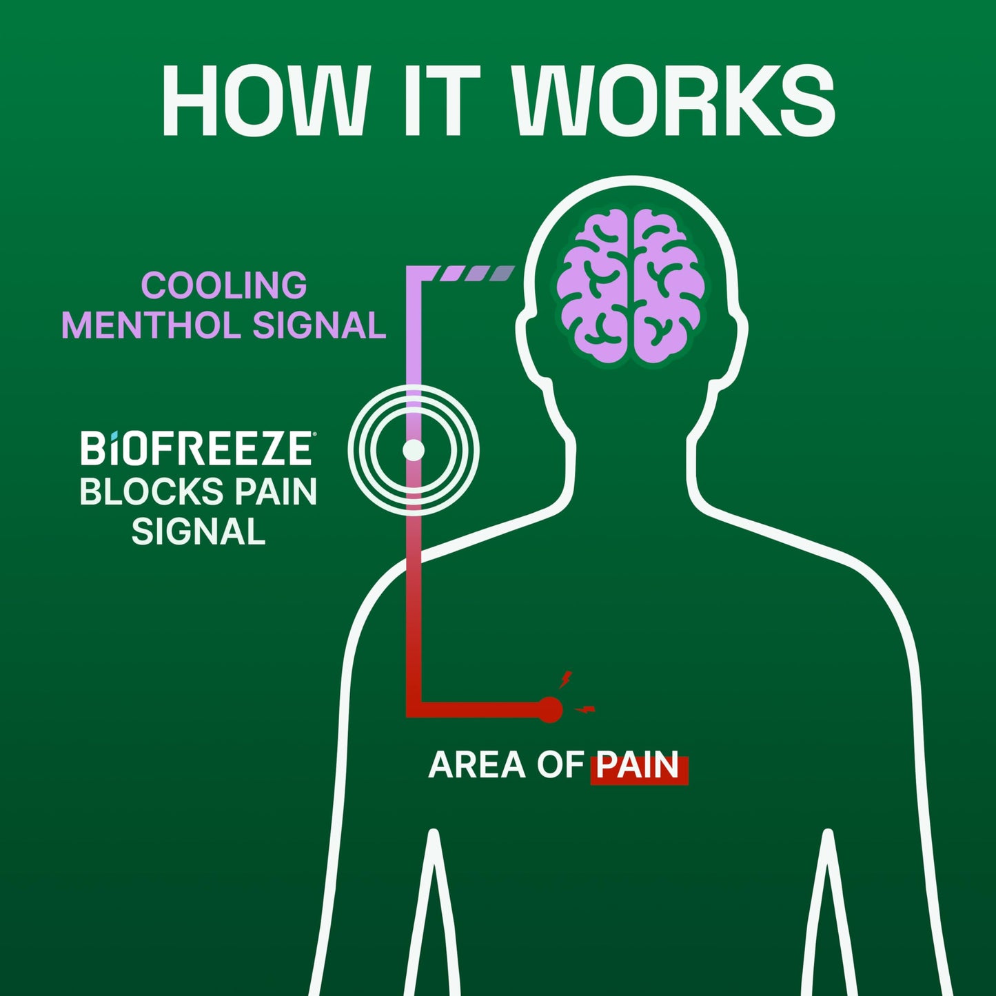 Biofreeze Overnight Gel Pain Relief, Knee & Lower Back Pain Relief, Arthritis Pain Reliever, Neck Pain Relief, Cooling Joint Pain Relief, Lavender Scented Menthol Gel 3 Fl Oz BiofreezeBuy Supplements Australia