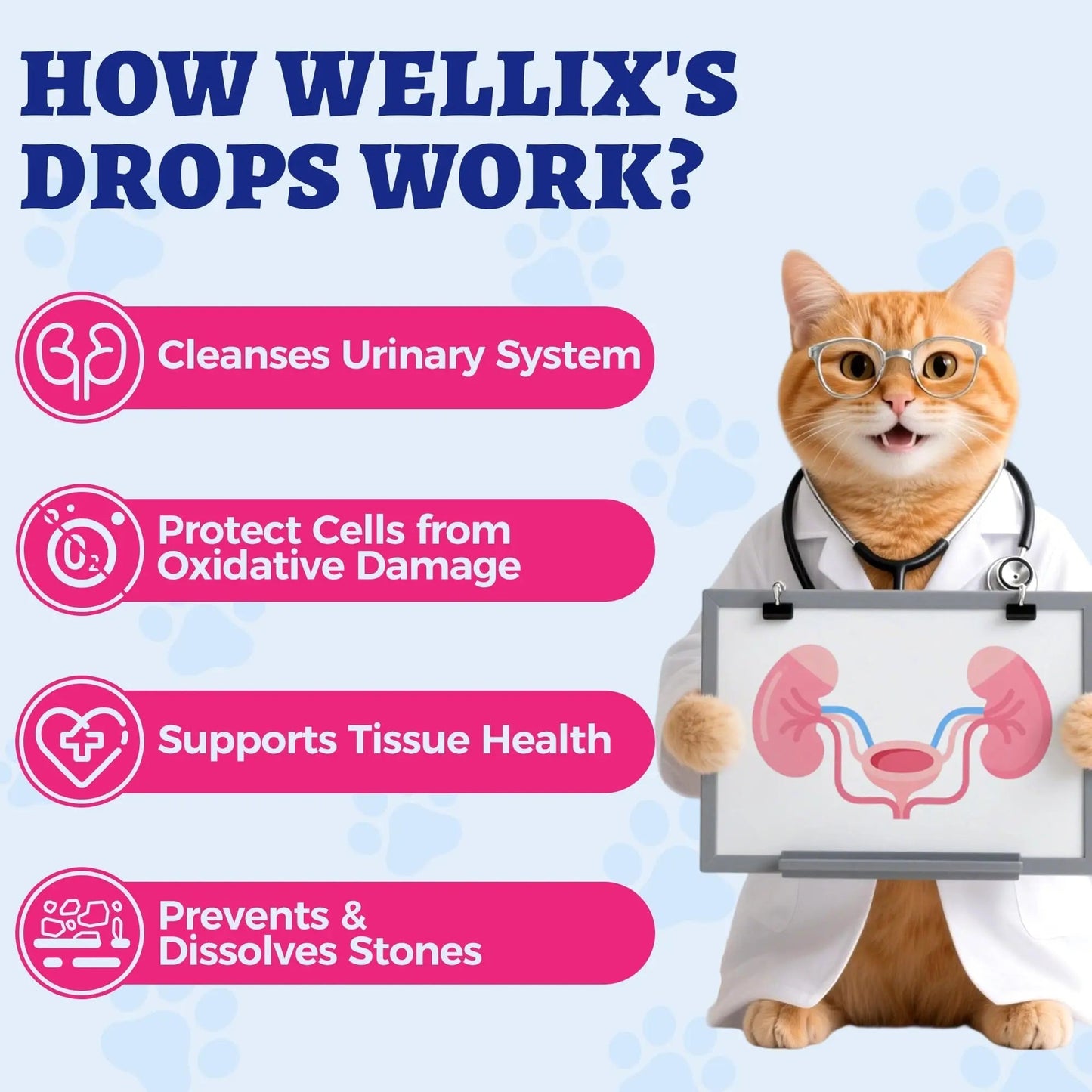 4oz Wellix Natural Cat & Dog UTI Treatment Drops,Cat & Dog Urinary Tract Infection Treatment - Cranberry & D-Mannose for Dogs & Cats - Kidney Health Supplement WellixBuy Supplements Australia