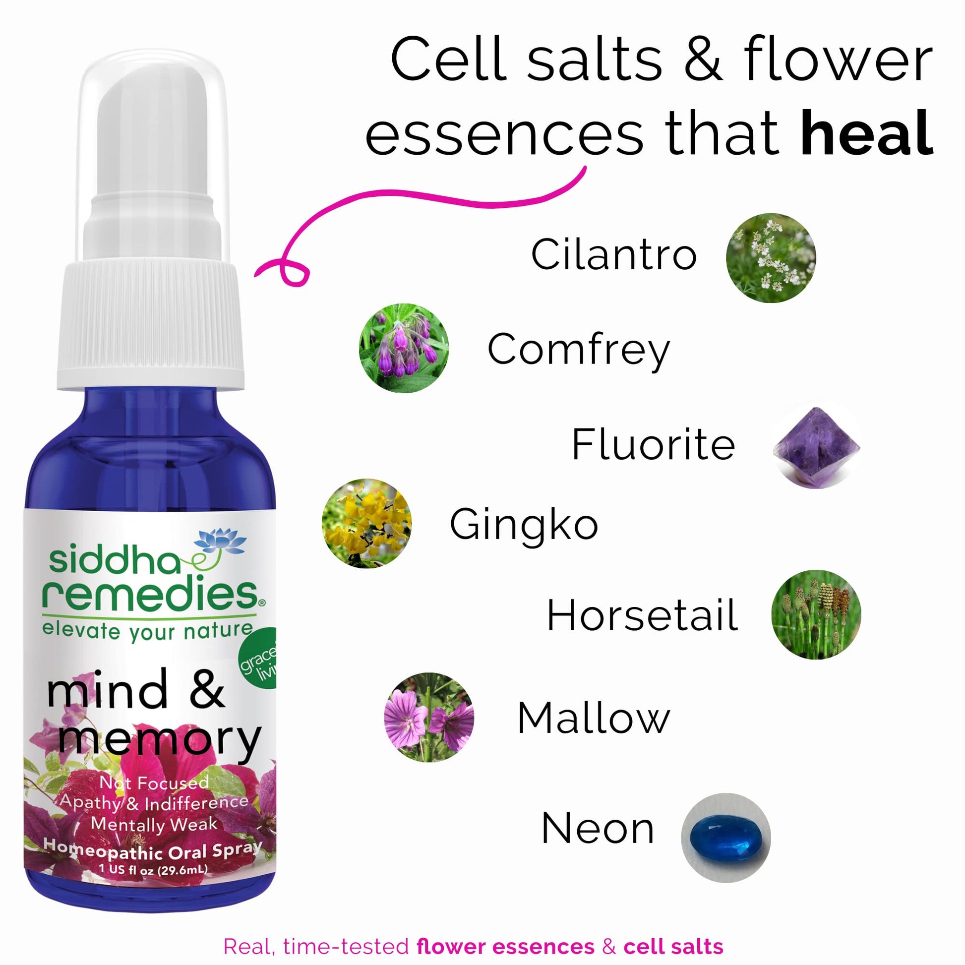 Siddha Remedies Mind & Memory Spray for Apathy, Indifference & Low Focus SiddhaBuy Supplements Australia