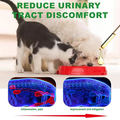 Urinary Tract for Cats, Cat & Dog Urinary Tract Drops Infection Remedy with Cranberry Dog Supplements, Cranberry Kidney Bladder Support Supplement - 60ml / 2 Fl.oz JoanofArcBuy Supplements Australia