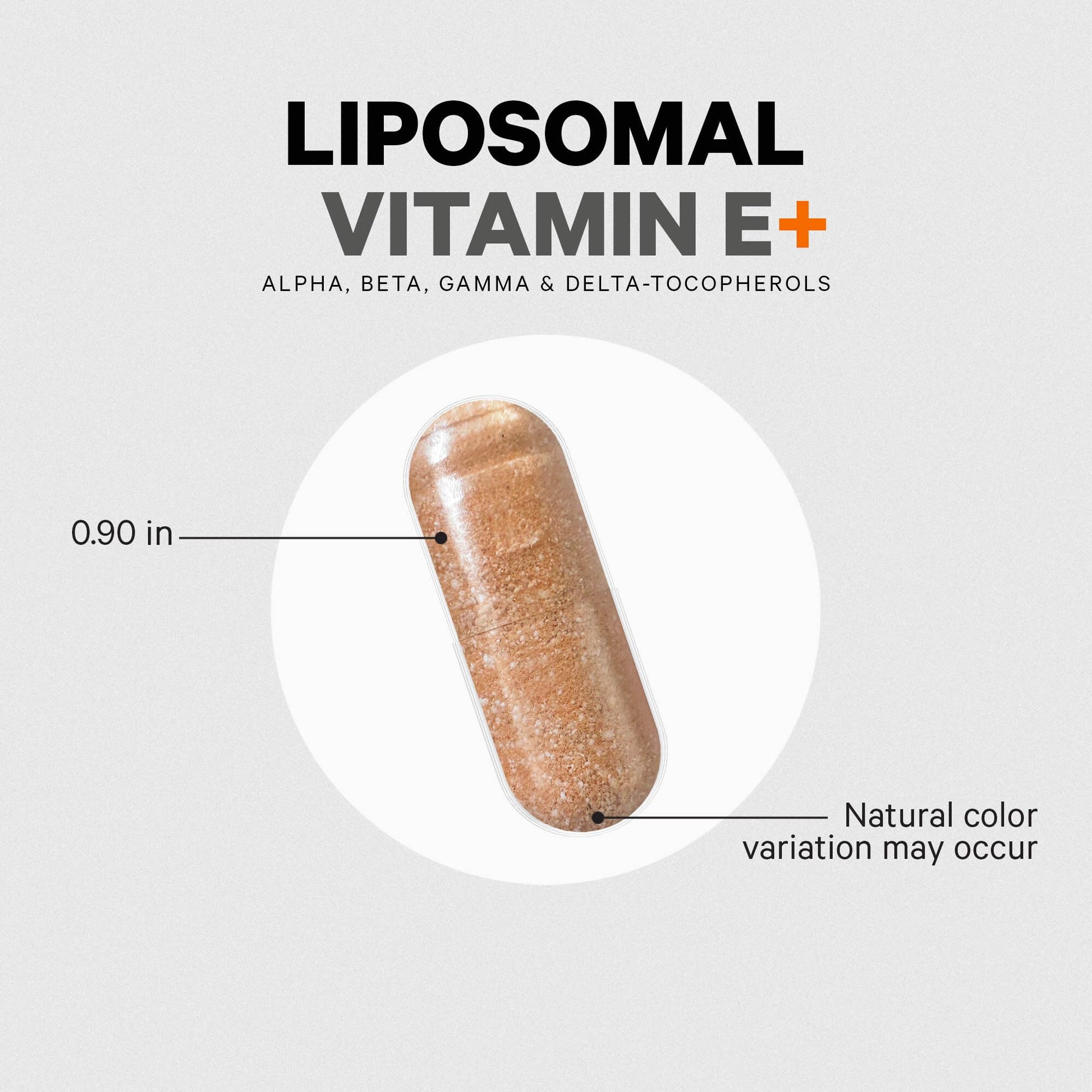 Codeage Liposomal Vitamin E Supplement - All Vitamin E Tocopherols - 3-Month Supply - Alpha Tocopherols, Beta, Gamma, and Delta - Liposomal Mixed Tocopherols - Non-GMO Phospholipid - 90 Capsules CodeageBuy Supplements Australia