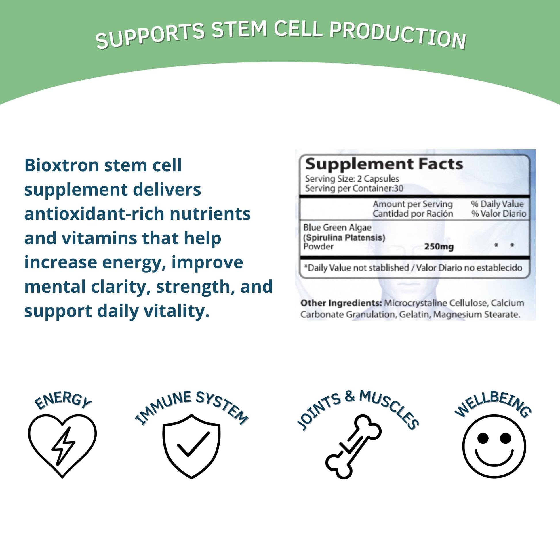 Bioxtron Natural AFA Stem Cell Supplement - Joint Support & Muscle Pain - Immune System Support - Support Energy Levels - Natural Blue Green Algae Spirulina - Pack of 2-120 Caps BioxtronBuy Supplements Australia