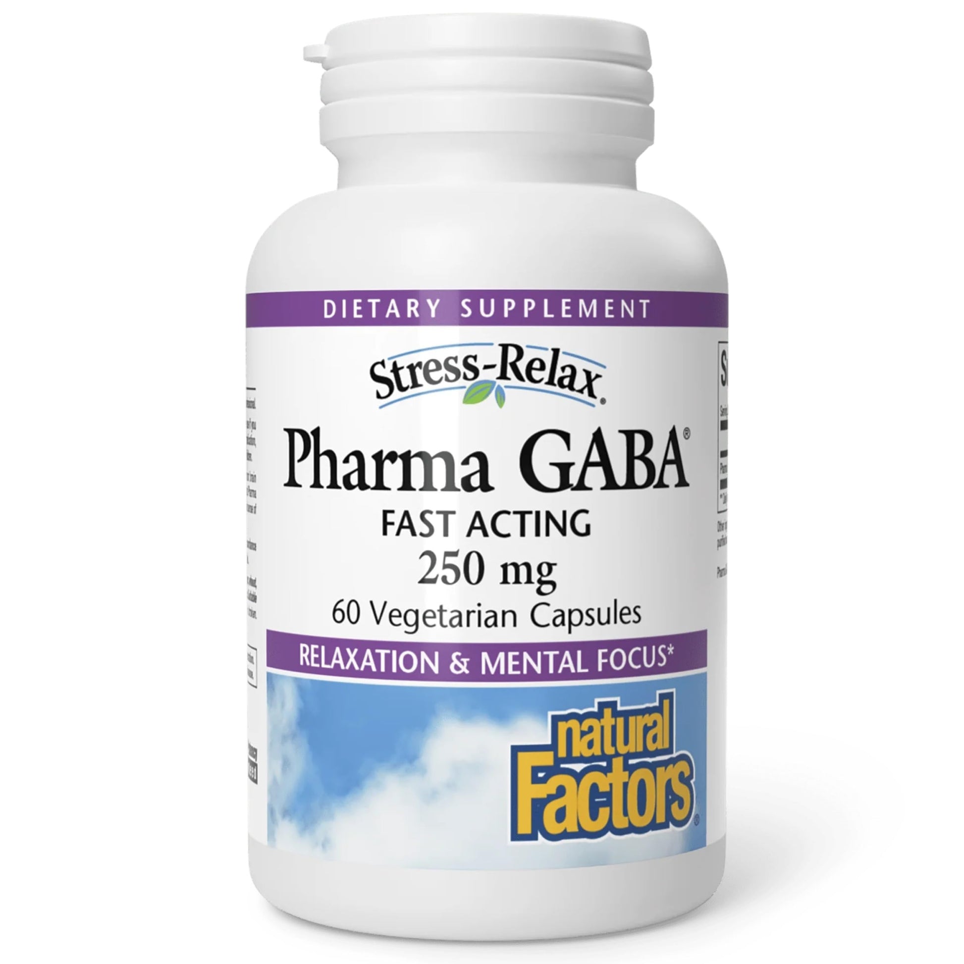 Natural Factors Pharma GABA - Dietary Supplement Supports Calm Sleep & Sleep Quality - Natural, Fast-Working Supplement Aids Focus & Brain Health - 60 Chewable Tablets (60 Servings) Natural FactorsBuy Supplements Australia