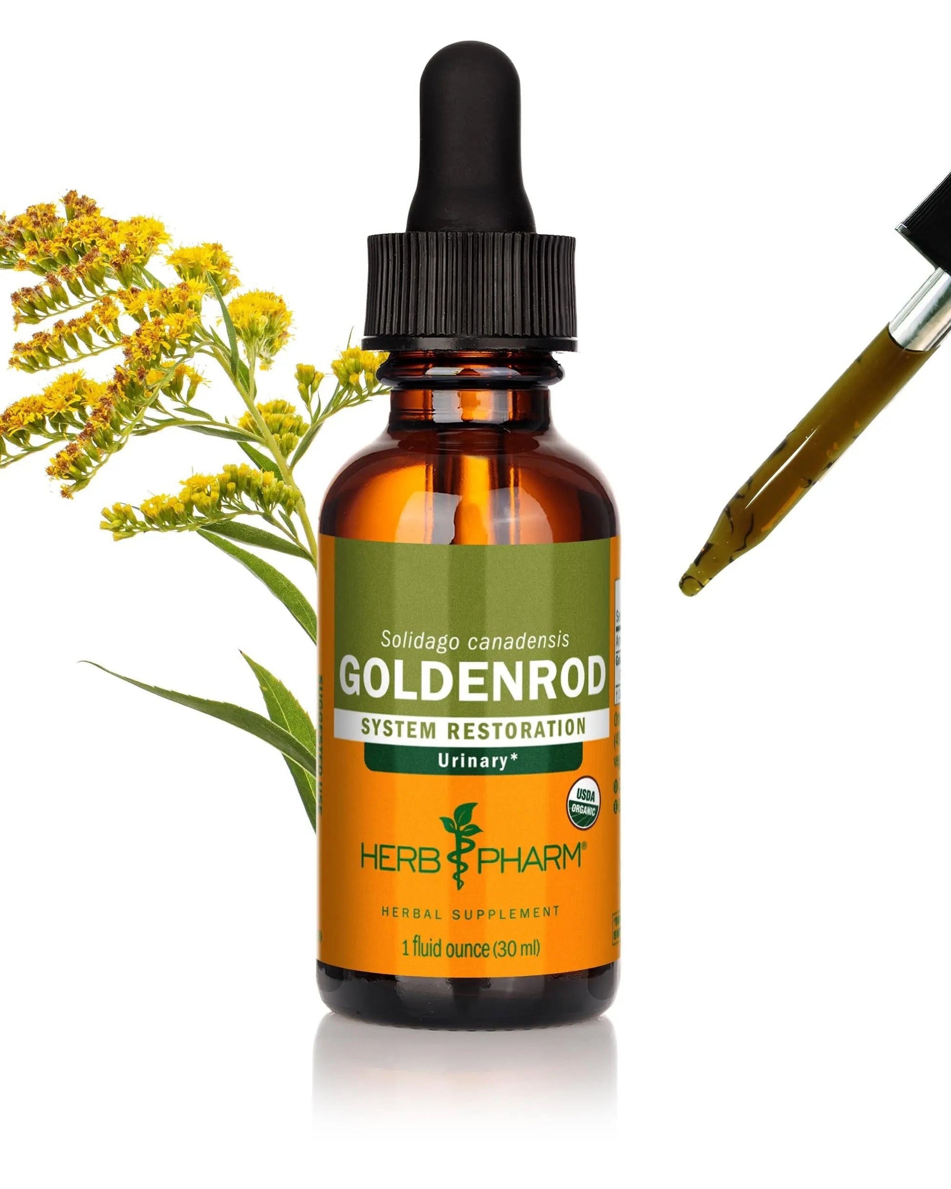 Herb Pharm Certified Organic Goldenrod Liquid Extract for Urinary System Support, 1 Fl Oz (Pack of 1) Herb PharmBuy Supplements Australia