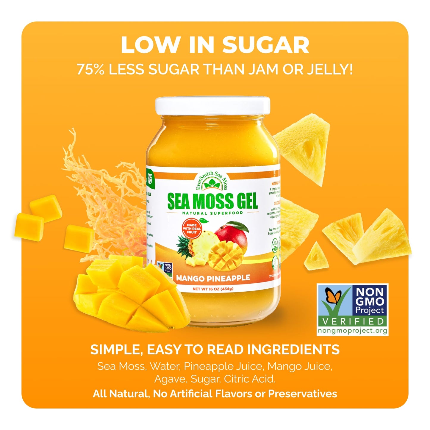 EverSmith Organics - Wildcrafted Irish Sea Moss Gel | Made in USA | Rich in Vitamins & Minerals | Sea Moss Gel Raw