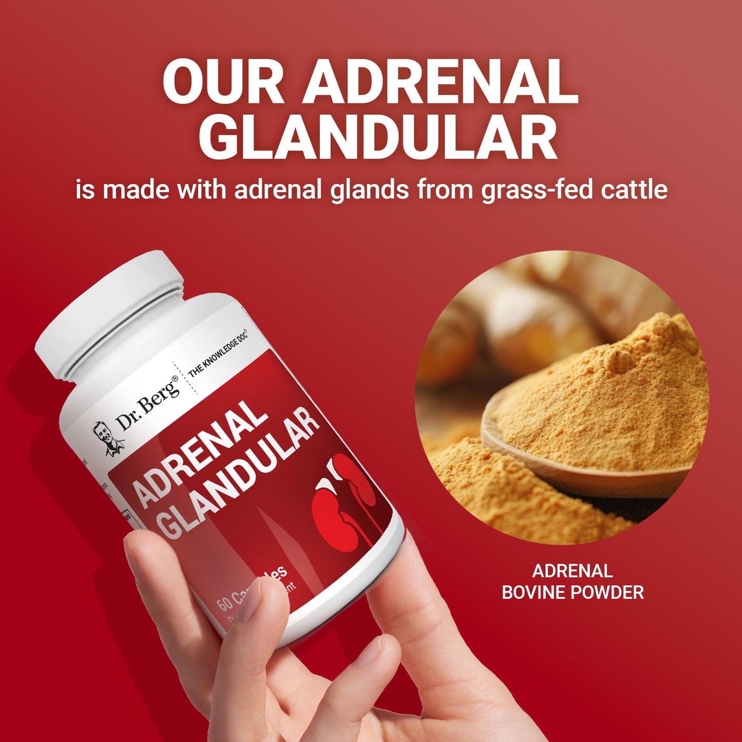 Dr. Berg Adrenal Glandular - Hormone Balance Formula That Supports Healthy Adrenal Function - Adrenal Support Supplement - 60 Capsules Dr. Berg NutritionalsBuy Supplements Australia