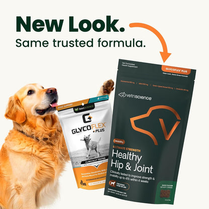 VetriScience Ultimate Strength Healthy Hip & Joint Chews, GlycoFlex Glucosamine, Chondroitin and Green-Lipped Mussel Joint Support Supplement for Dogs, Soothe Joint Discomfort, Duck, 120 Count VETRISCIENCEBuy Supplements Australia