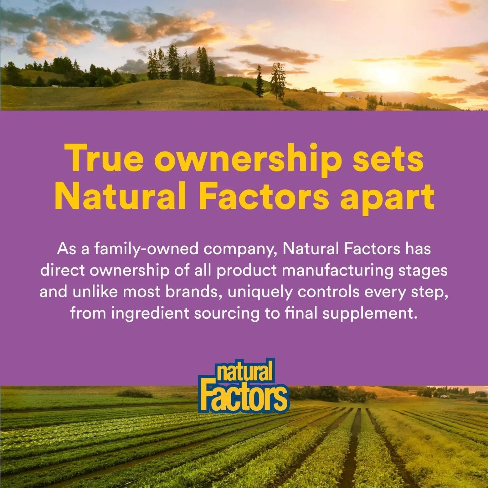 MultiFactors by Natural Factors, Women's 50+ Multivitamin & Mineral Formula, Dietary Supplement for Nutritional Support, 90 capsules (30 servings) Natural Factors