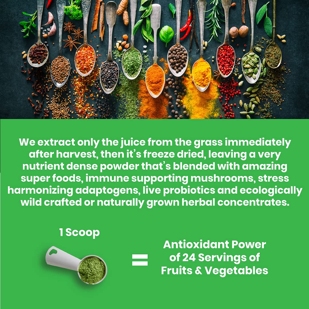 Paradise ORAC Energy Greens Powder Extract, Super Antioxidants, Probiotics for Gut Paradise HerbsBuy Supplements Australia