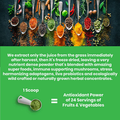 Paradise ORAC Energy Greens Powder Extract, Super Antioxidants, Probiotics for Gut Paradise HerbsBuy Supplements Australia