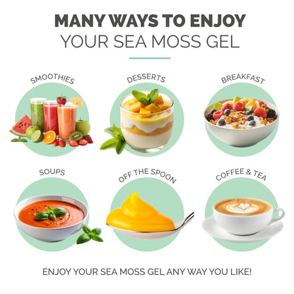 EverSmith Organics - Wildcrafted Irish Sea Moss Gel | Made in USA | Rich in Vitamins & Minerals | Sea Moss Gel Raw