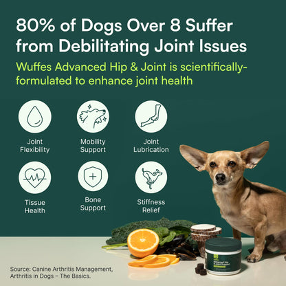 Wuffes Chewable Dog Hip & Joint Supplement - Glucosamine & Chondroitin Chews - Dog Joint Supplements & Vitamins - Extended Joint Care (Small&Medium Breeds (0-65 lbs), 180 Chews (Pack of 3)) WuffesBuy Supplements Australia