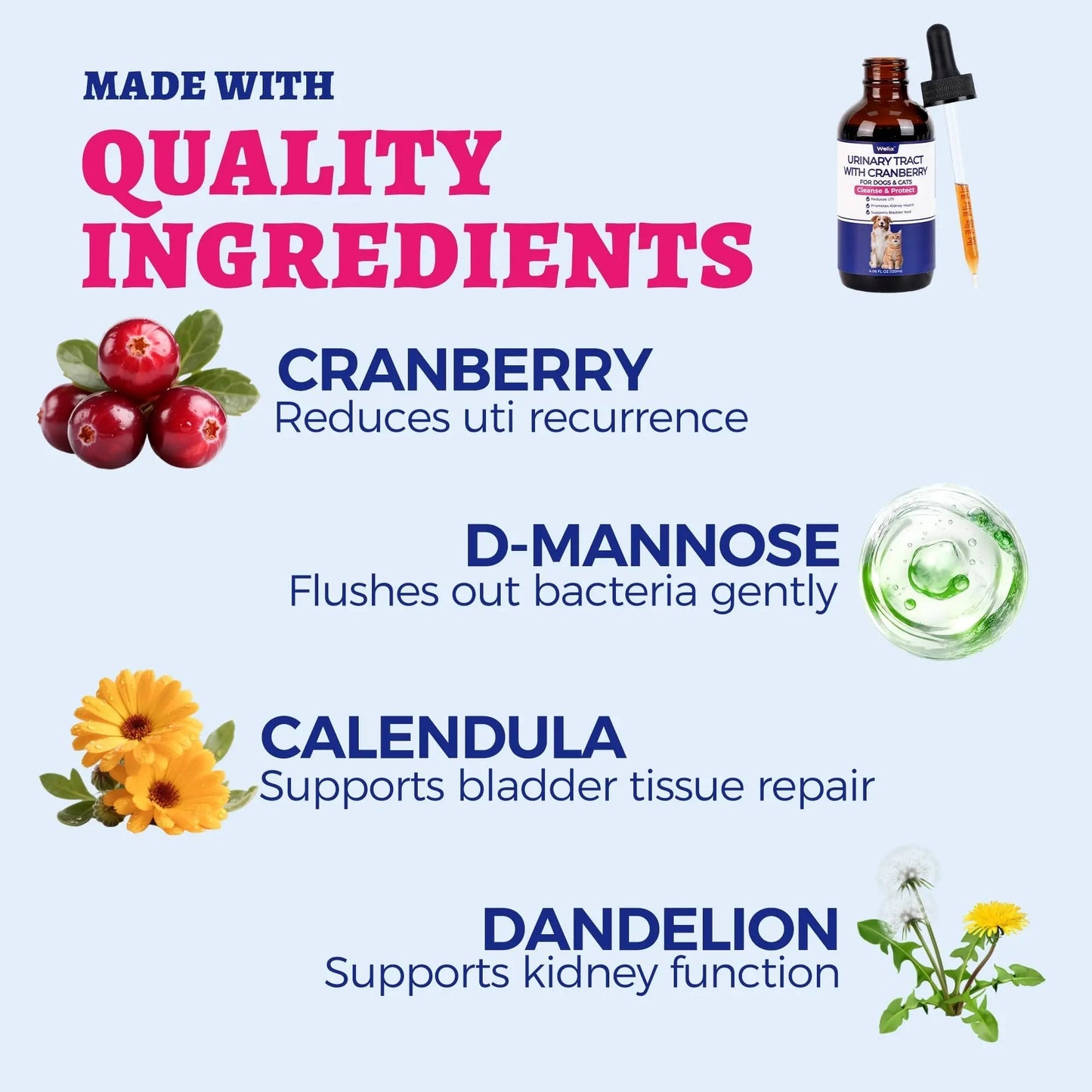 4oz Wellix Natural Cat & Dog UTI Treatment Drops,Cat & Dog Urinary Tract Infection Treatment - Cranberry & D-Mannose for Dogs & Cats - Kidney Health Supplement WellixBuy Supplements Australia