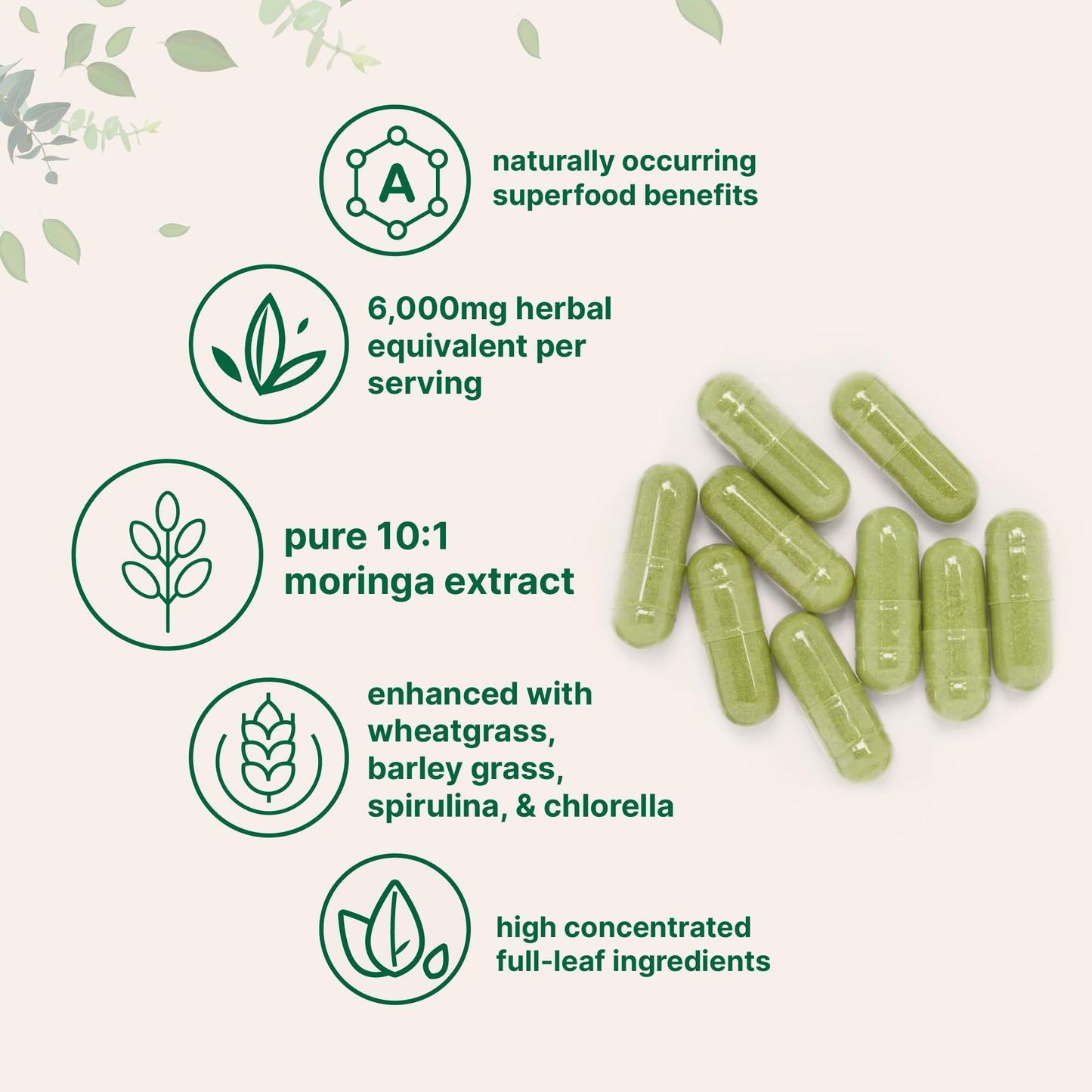 Micro Ingredients Moringa Oleifera | 300 Capsules with Supergreens Blend of Wheatgrass, Barley Grass, Spirulina, & Chlorella | Antioxidant Supplement, Energy, & Immune Support | Non-GMO Micro IngredientsBuy Supplements Australia