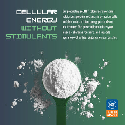 CleanForm Nutrition goBHB® Clean Energy Powder | NSF Sport Certified | Cellular Fuel with BHB Salts | Enhances Endurance, Mental Clarity, Hydration & Recovery | No Caffeine or Sugar | Neutral Flavor CleanForm NutritionBuy Supplements Australia